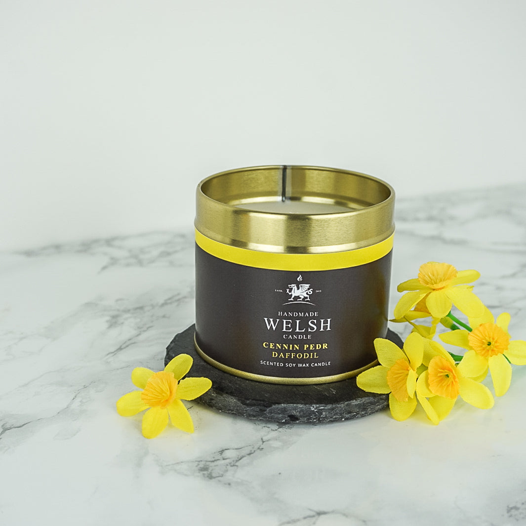 Cannwyll Tun Daffodil