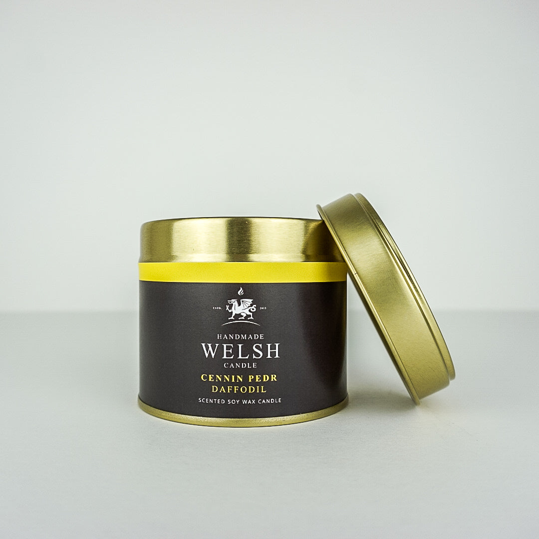 Cannwyll Tun Daffodil