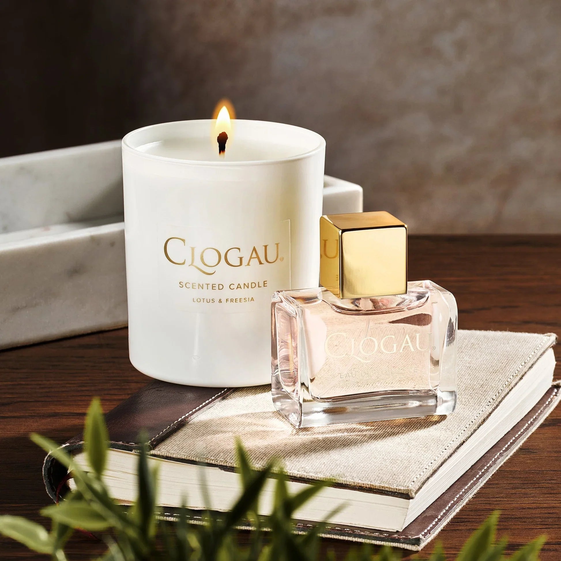 Clogau® Gifts
