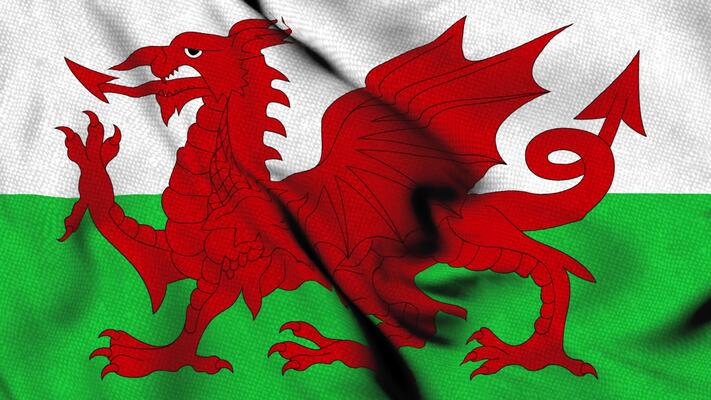 🏴󠁧󠁢󠁷󠁬󠁳󠁿 Life Charms Welsh Bracelets 🏴󠁧󠁢󠁷󠁬󠁳󠁿