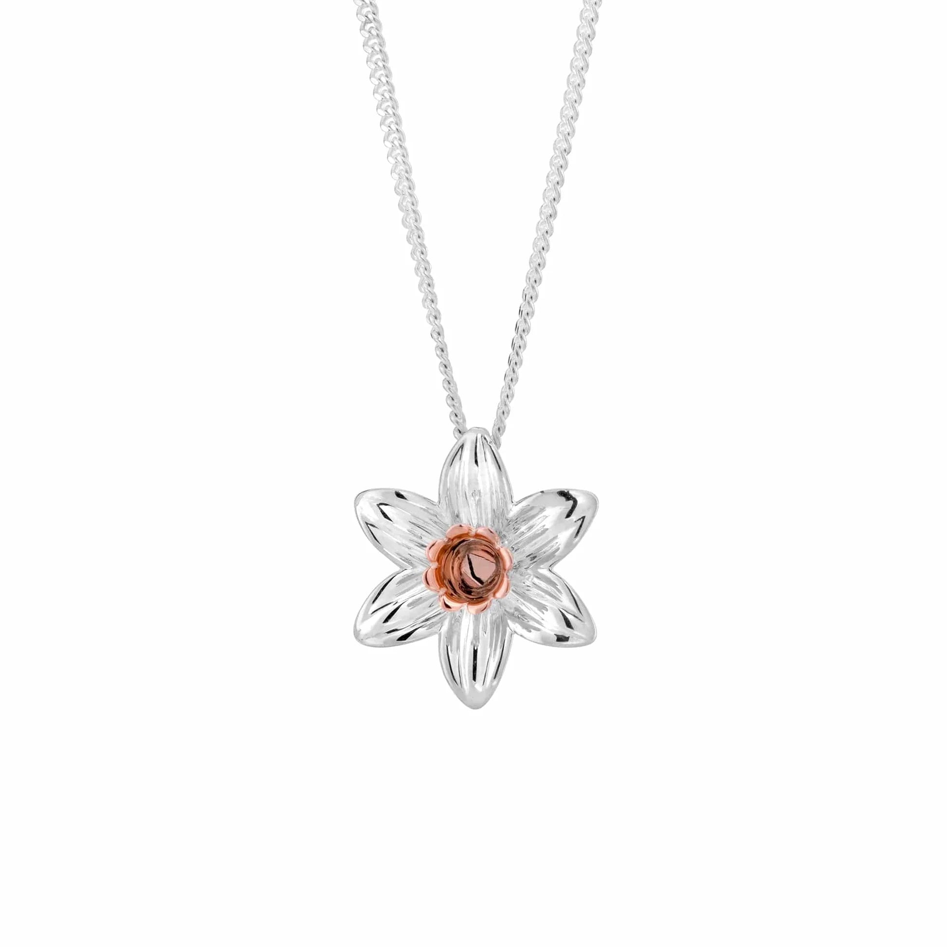 Pendant Cennin Pedr Arian Sterling Arian Clogau®