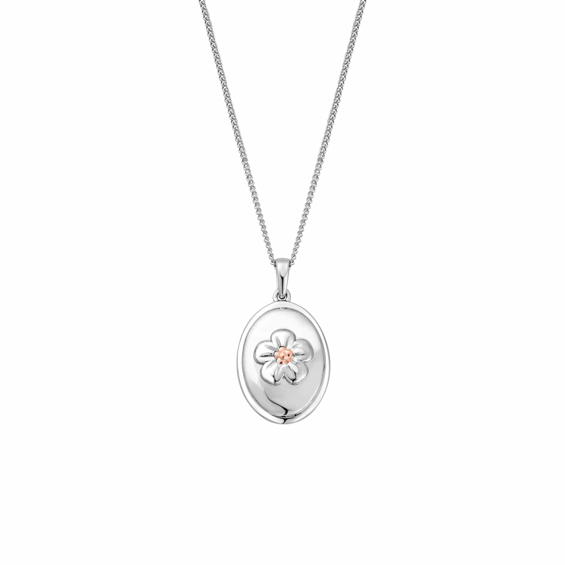 Pendant Anghofiwch Fi Ddim o Arian Sterling Rhyfeddod Natur Clogau®