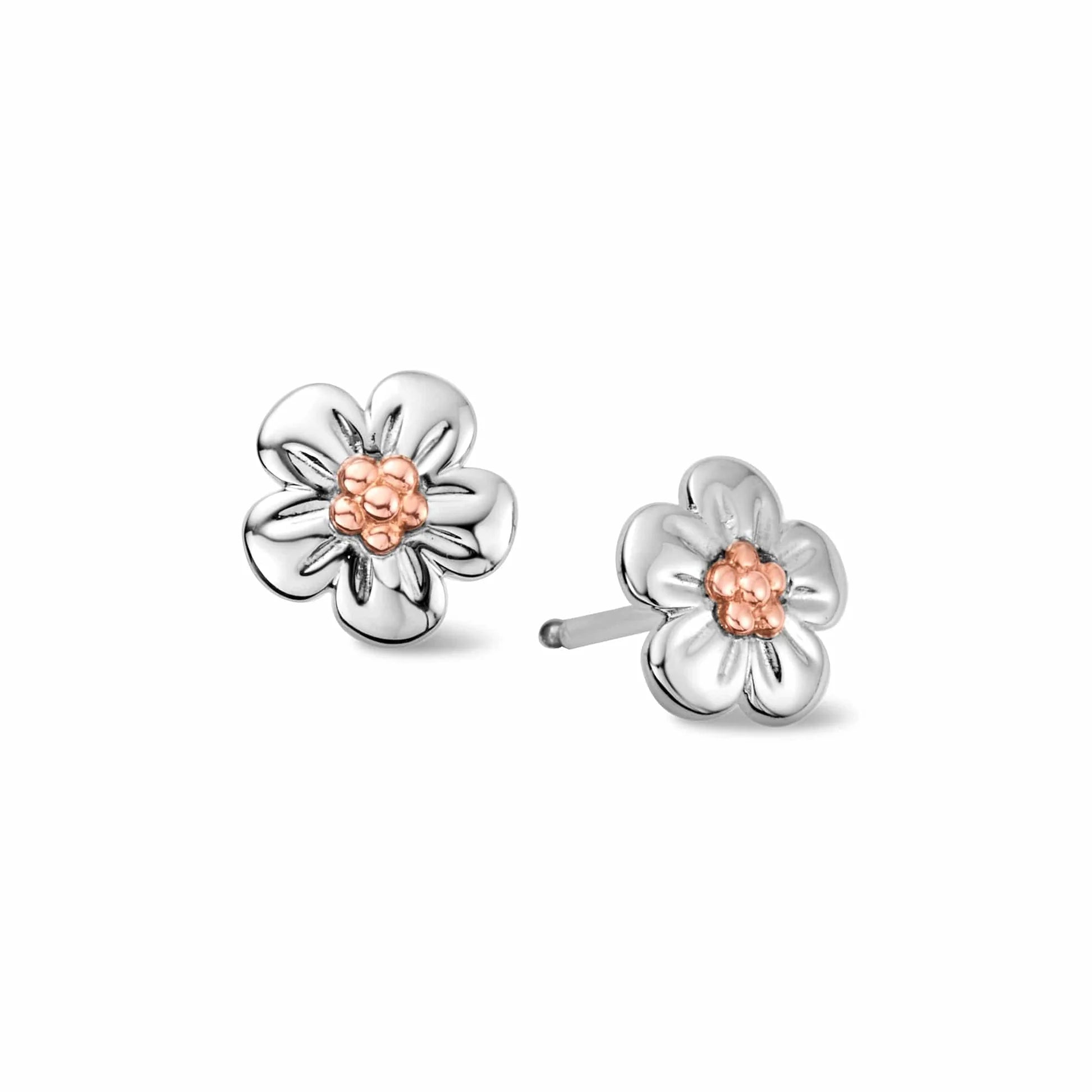 Clustdlysau Stydiau Arian Sterling Anghofiwch-fi-ddim Rhyfeddod Natur Clogau® 
